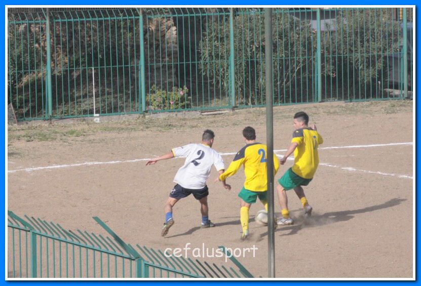 130406 delfini 094_tn.jpg